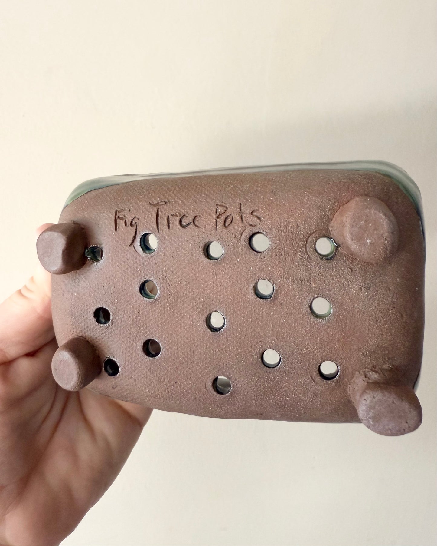 Northern Lights Sponge Dish