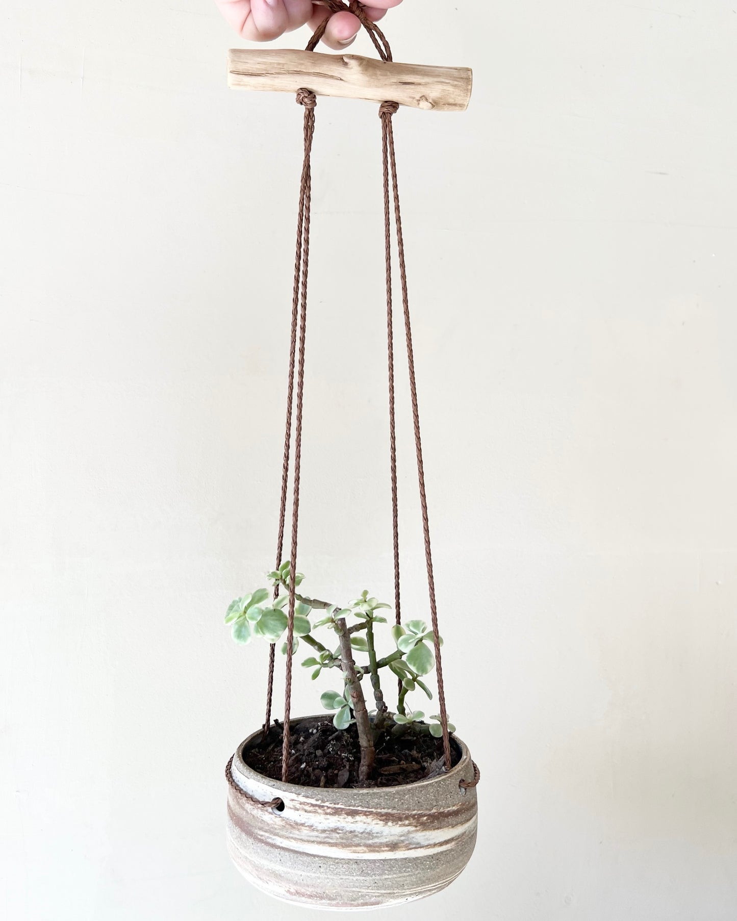 Marbled Clay Hanging Planter